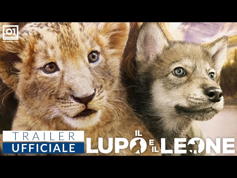 Il lupo e il leone su Netflix: quando i predatori si incontrano