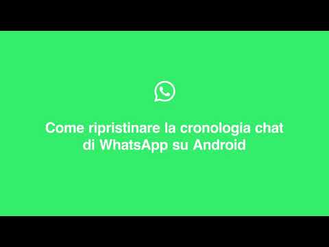 WhatsApp: Conversazioni in Disordine